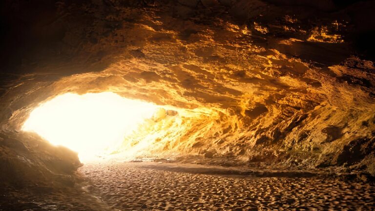 Stockyard gully cave trail walk (1. 3km)