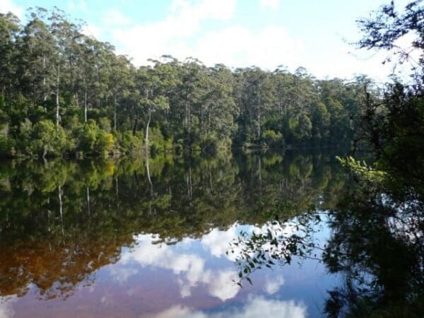 Big brook dam 600x450