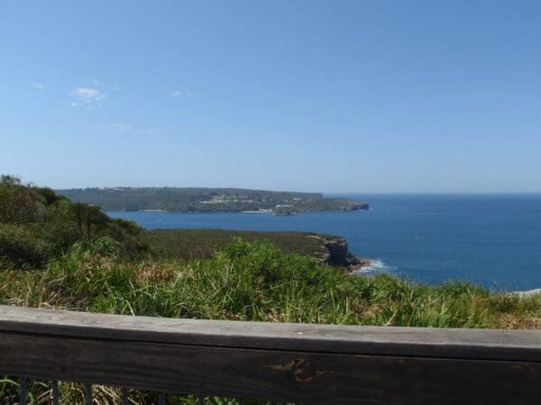 Crater cove lookout 600x450