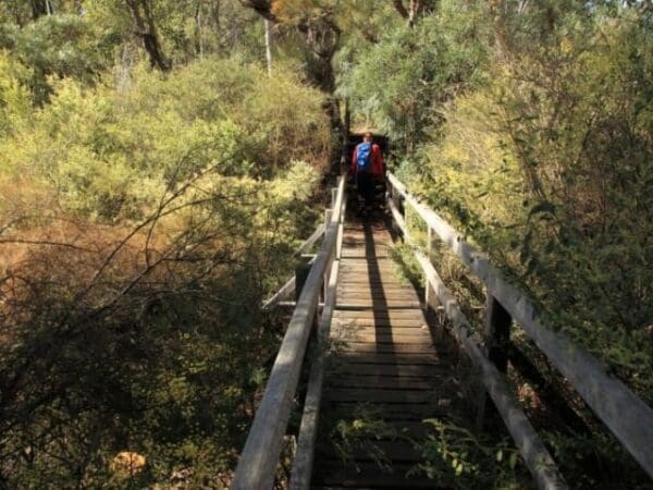 Mundlimup timber trails 600x450