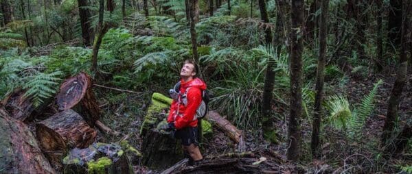 Hikes Richards tramline 600x254