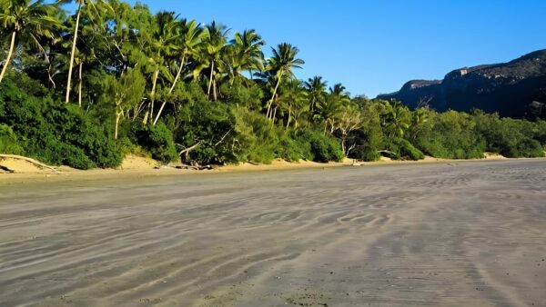 Beachcomber cove track (2. 2km)