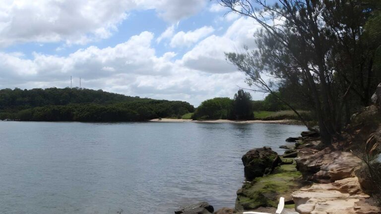 East hills to padstow along the georges river hike (15. 8km)