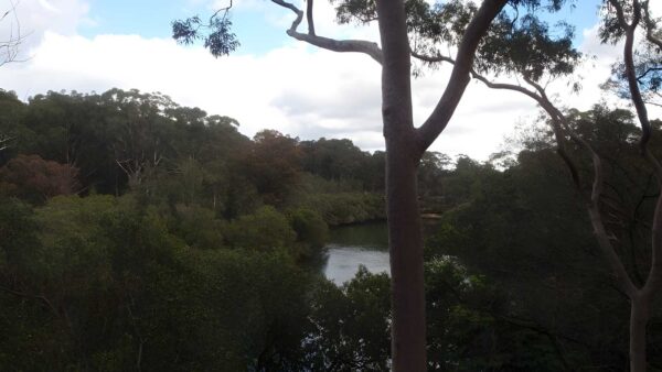 Fairylands walking track (1km)