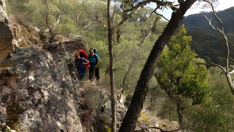 The Great Dividing Trail Network (300km) The great dividing trail network (300km)