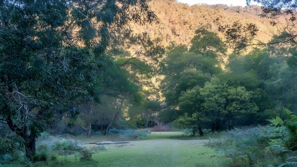 Griffins Walking Track (11km) Griffins walking track (11km)