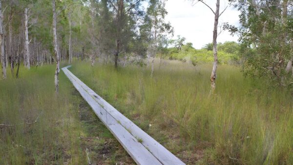 Gummigurrah Walking Track (3.3km) Gummigurrah walking track (3. 3km)