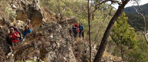 Great Dividing Trail: Lerderderg Track (89km) Page 600x254