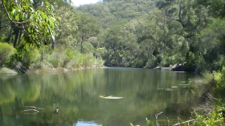 The Goanna Track Circuit Hike (11km) The goanna track circuit hike (11km)