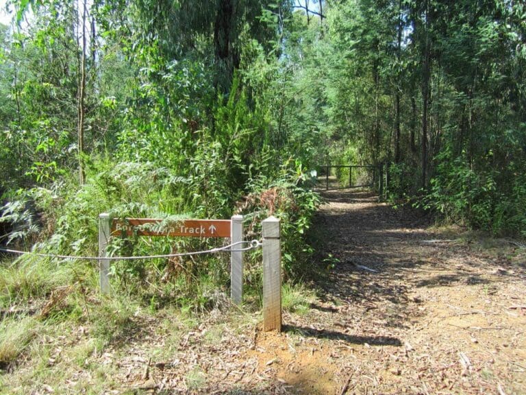 Trail hiking boroondara track 768x576