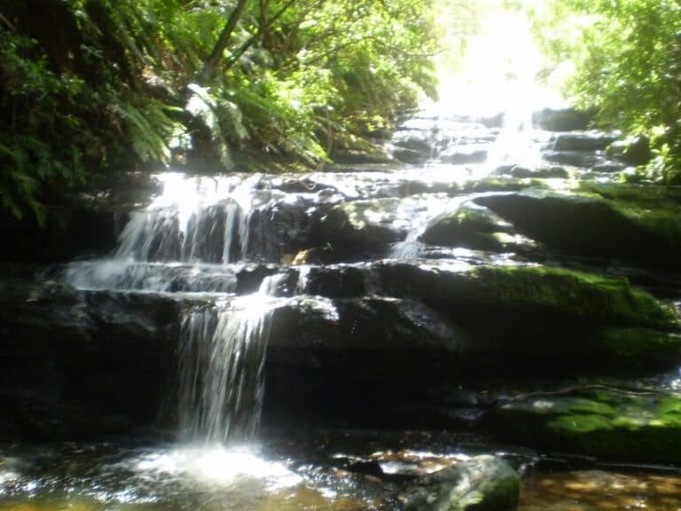 Leura Cascades Circuit Walk (800m) Leura cascades circuit 768x576