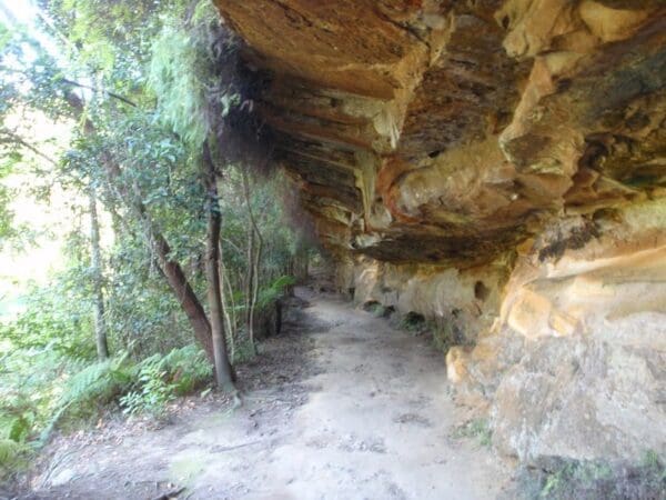 Lindfield park and little digger track loop 600x450