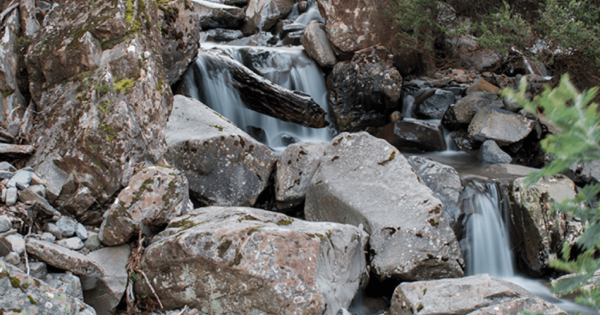 Cape Tourville Walk (720m) Storys falls 1 600x315