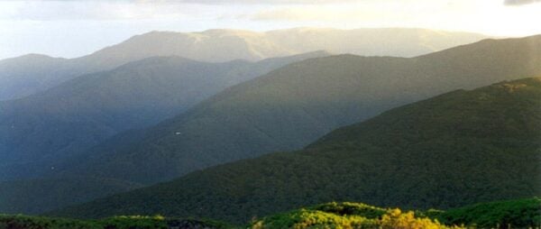 The Federation Track The federation track