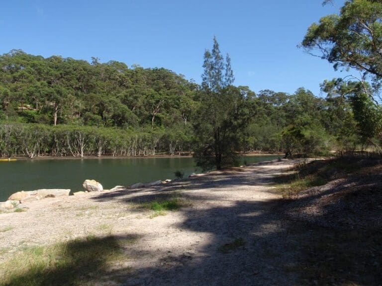 The lyrebird track 768x576
