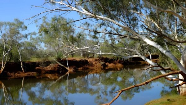 Corella Trail Walk (2km) Corella trail walk (2km)
