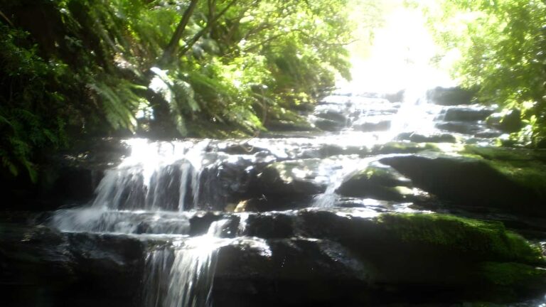 Leura Cascades Circuit Walk (800m) Leura cascades circuit walk (800m)
