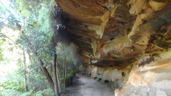 Lindfield park & little digger track loop hike (6. 7km)