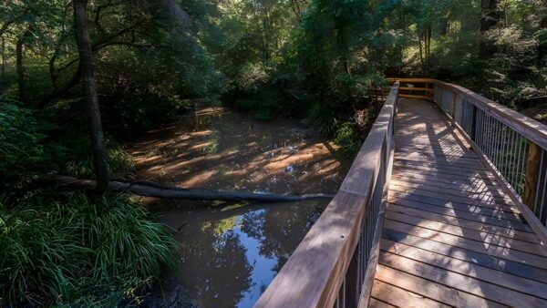 Ms kellys walking track (1. 5km)