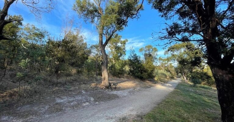 Natone hill circuit track 768x403