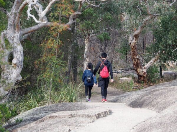 Permanent Waterhole Track (2km) Bald rock creek circuit 600x450