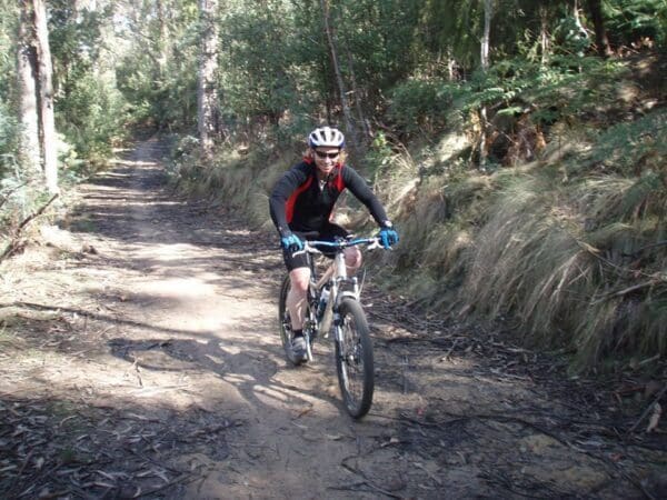 Clarence mountain bike park 600x450