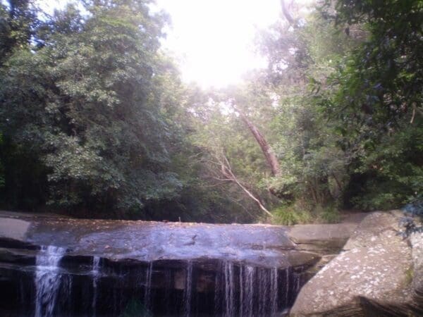 Epping to eastwood station via terrys creek 600x450