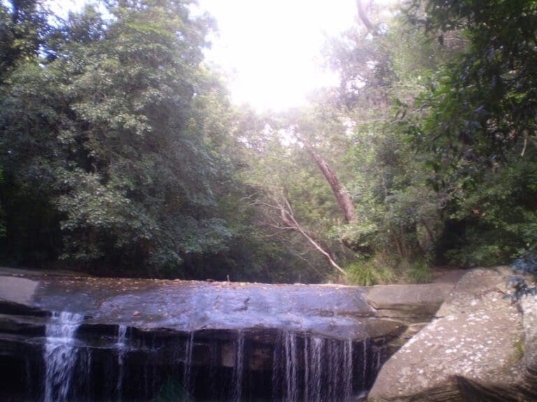 Epping to eastwood station via terrys creek 768x576