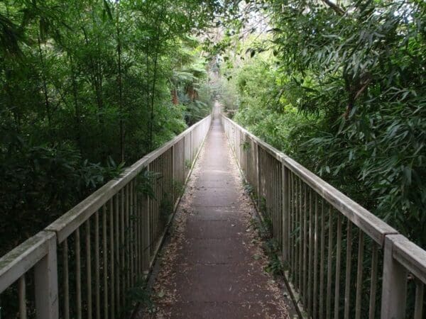 Gordon to roseville railway station 600x450