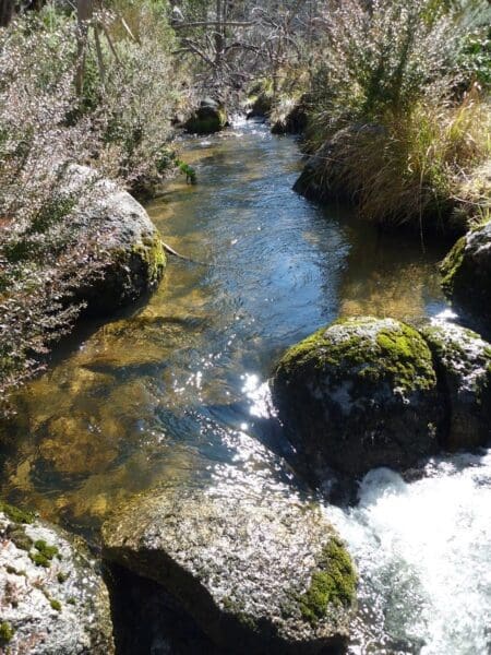 Pallaibo walk 450x600