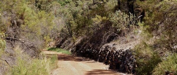 Hikes Railway reserves heritage trail 600x254