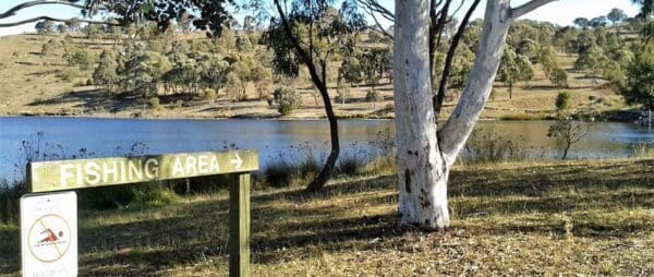 Shoreline walk 600x254