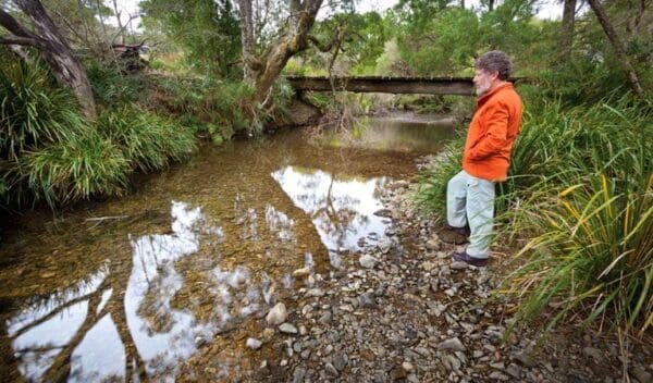 Slingsbys trail and syndicate ridge track trail hiking australia 600x352