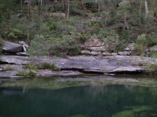 Karloo Walking Track (10km) The karloo track 600x450