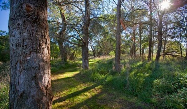 Hikes Wingecarribee river walking track trail hiking australia 600x352
