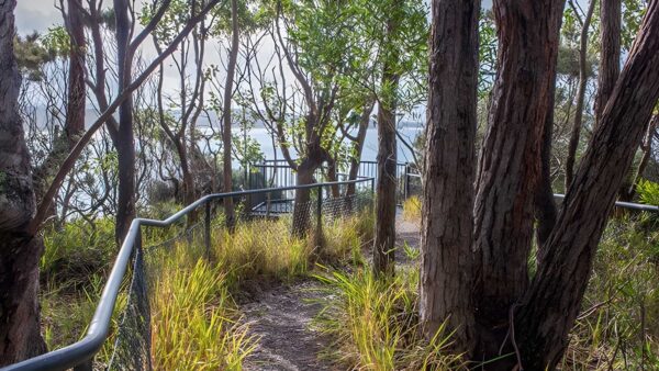 Meroo Head Lookout Walking Track (800m) Meroo head lookout walking track (800m)