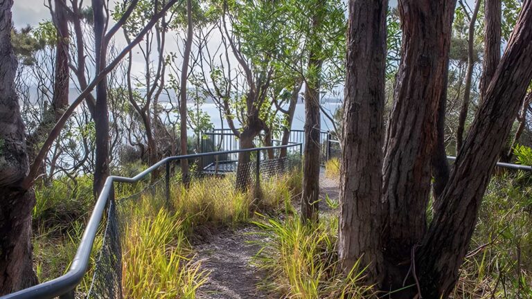 Meroo head lookout walking track (800m)