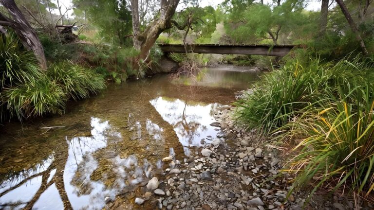 Slingsbys Trail & Syndicate Ridge Track (15km) Slingsbys trail & syndicate ridge track (15km)