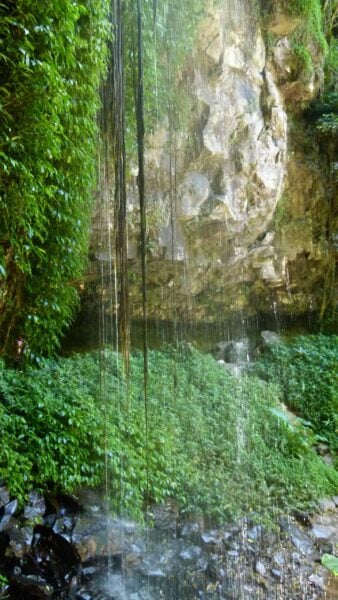 Trail hiking crystal shower falls scaled 338x600