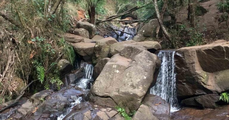 Trail hiking olinda falls and mechanic track scaled 768x403