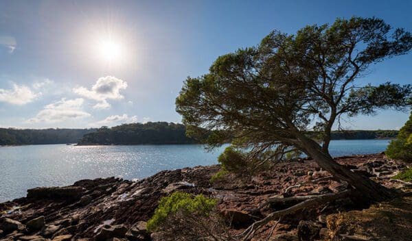 Bittangabee bay to green cape walking track trail hiking australia 600x352