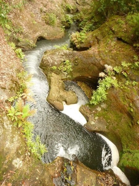 Boarding house dam circuit 450x600