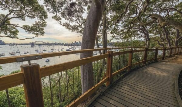 Chowder Bay to Middle Head Return - Chowder Bay Road Walk (5.1km) Bradleys head to chowder bay walk trail hiking australia 600x352