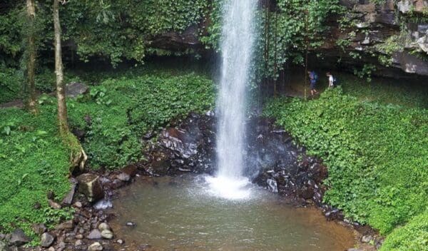 Crystal shower falls walk trail hiking australia 600x352