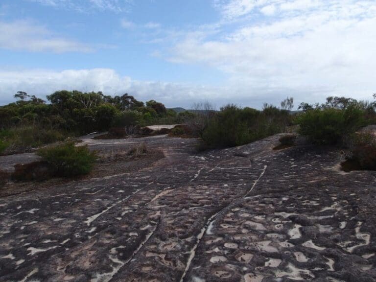Elvina bay aboriginal engraving walk 768x576