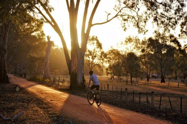 Grampians rail trail 600x400