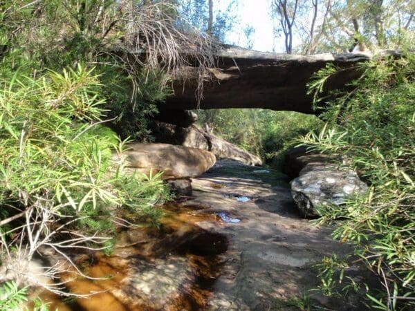 Natural bridge walk 600x450