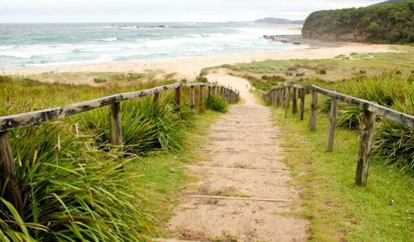 Pigeon House Mountain Didthul Walking Track (7km) Pretty beach to durras mountain walking track trail hiking australia 600x352