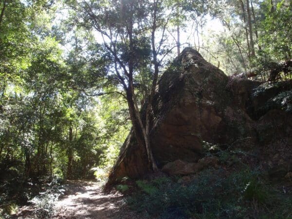 Shepherds gully 600x450