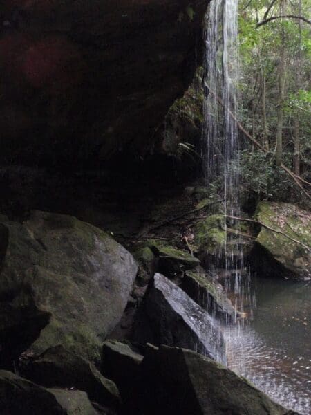 Springwood to martins falls 1 450x600